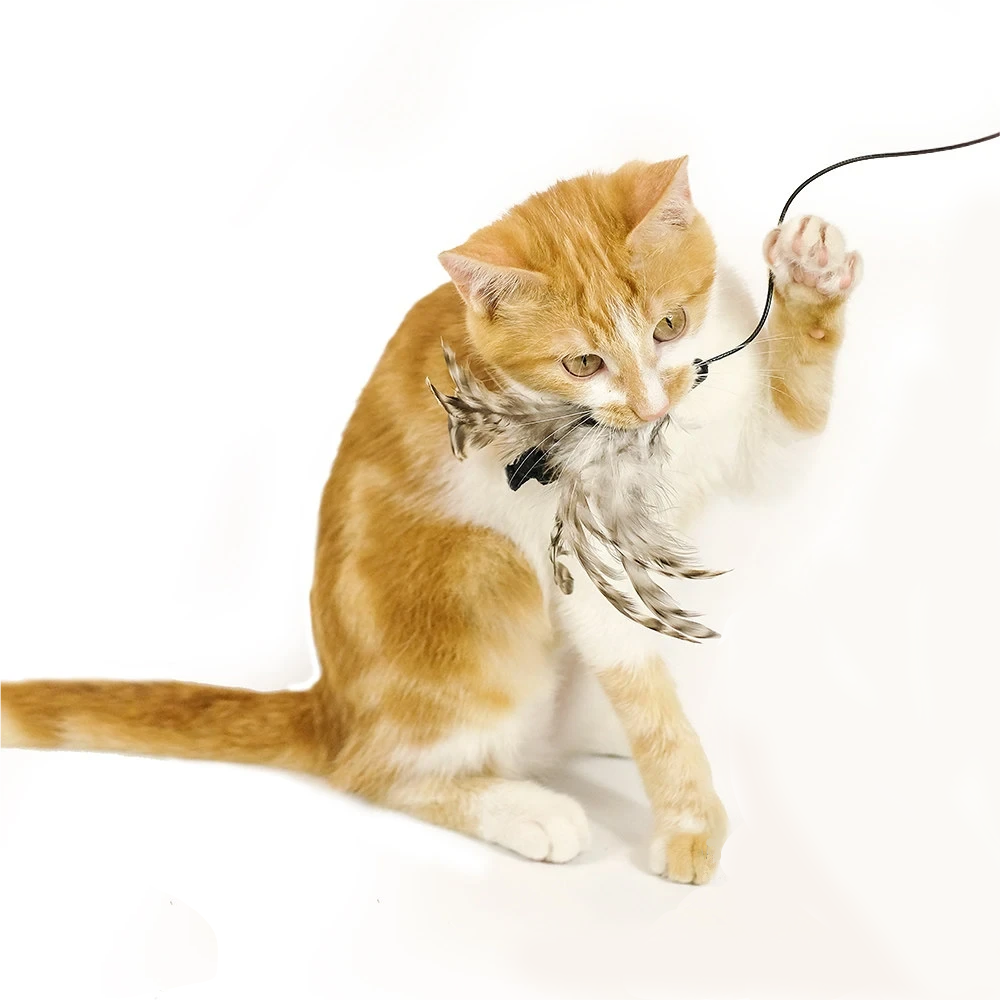 Feather Wand Cat Toy – Elastic String Kitten Fishing Toy